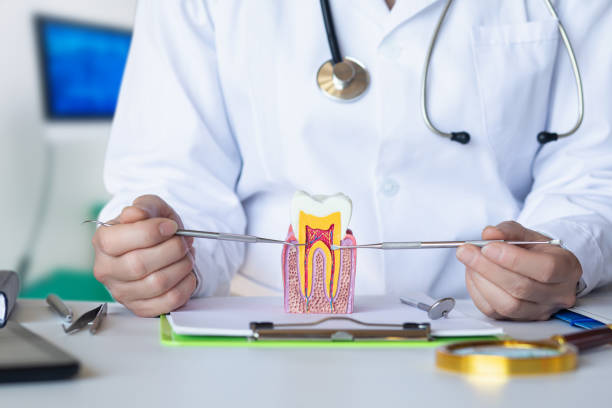 Best Tooth Infection Emergency Dentist  in South Coventry, CT